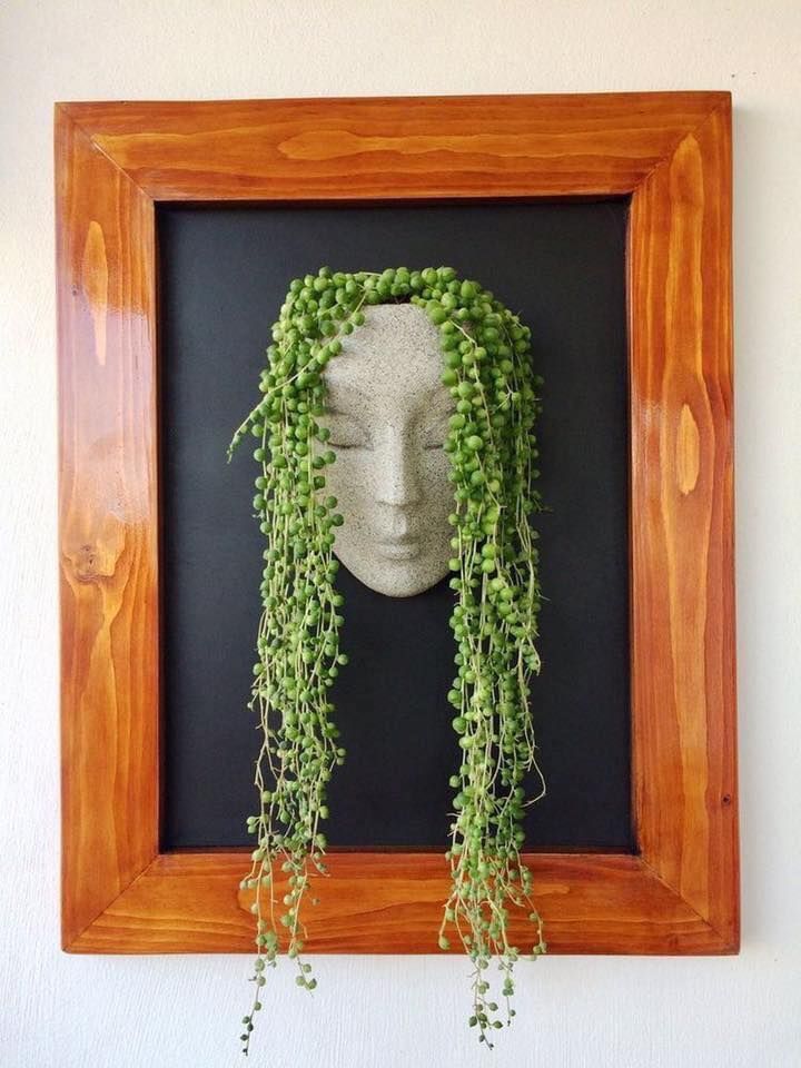 plantas deco